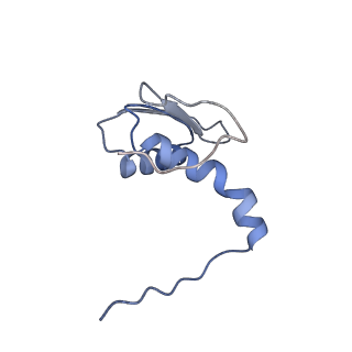 22081_6x6s_MC_v1-1
Cryo-EM Structure of the Helicobacter pylori OMC