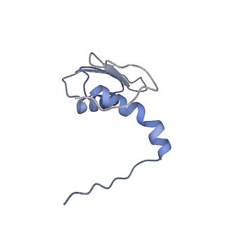 22081_6x6s_MC_v1-2
Cryo-EM Structure of the Helicobacter pylori OMC