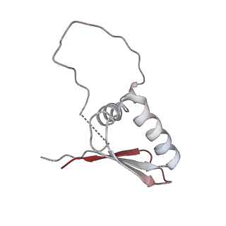 22081_6x6s_MD_v1-1
Cryo-EM Structure of the Helicobacter pylori OMC