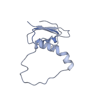 22081_6x6s_ME_v1-1
Cryo-EM Structure of the Helicobacter pylori OMC