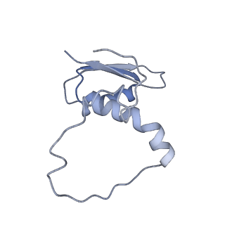 22081_6x6s_ME_v1-2
Cryo-EM Structure of the Helicobacter pylori OMC