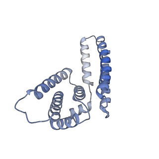 22081_6x6s_MM_v1-1
Cryo-EM Structure of the Helicobacter pylori OMC