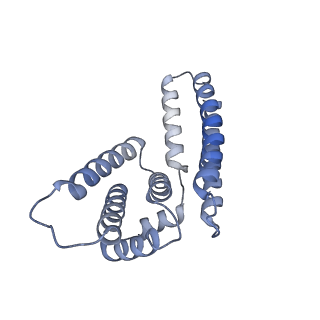 22081_6x6s_MM_v1-2
Cryo-EM Structure of the Helicobacter pylori OMC