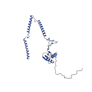 22081_6x6s_MT_v1-1
Cryo-EM Structure of the Helicobacter pylori OMC