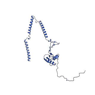 22081_6x6s_MT_v1-2
Cryo-EM Structure of the Helicobacter pylori OMC