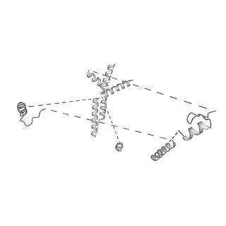 22081_6x6s_MU_v1-2
Cryo-EM Structure of the Helicobacter pylori OMC