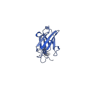 22081_6x6s_MX_v1-2
Cryo-EM Structure of the Helicobacter pylori OMC