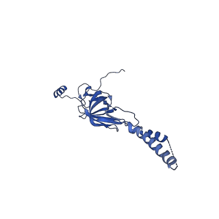 22081_6x6s_MY_v1-1
Cryo-EM Structure of the Helicobacter pylori OMC