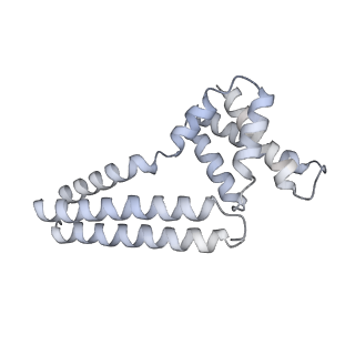 22081_6x6s_Mm_v1-1
Cryo-EM Structure of the Helicobacter pylori OMC