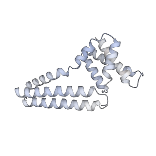 22081_6x6s_Mm_v1-2
Cryo-EM Structure of the Helicobacter pylori OMC