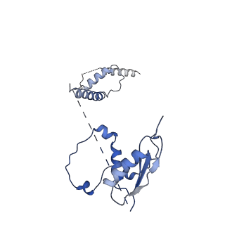 22081_6x6s_Mt_v1-1
Cryo-EM Structure of the Helicobacter pylori OMC
