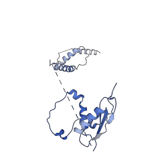 22081_6x6s_Mt_v1-2
Cryo-EM Structure of the Helicobacter pylori OMC