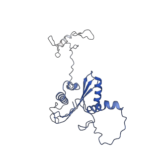 22081_6x6s_NA_v1-1
Cryo-EM Structure of the Helicobacter pylori OMC