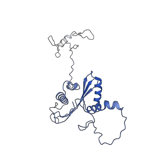 22081_6x6s_NA_v1-2
Cryo-EM Structure of the Helicobacter pylori OMC