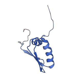 22081_6x6s_NB_v1-1
Cryo-EM Structure of the Helicobacter pylori OMC