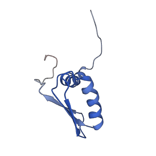 22081_6x6s_NB_v1-2
Cryo-EM Structure of the Helicobacter pylori OMC