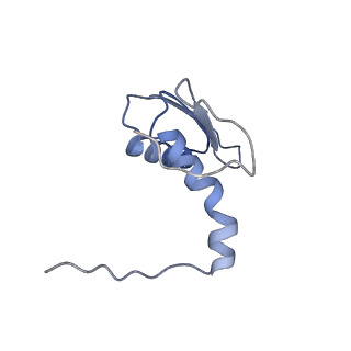 22081_6x6s_NC_v1-1
Cryo-EM Structure of the Helicobacter pylori OMC