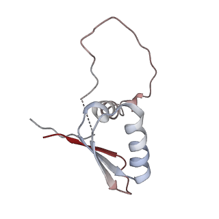 22081_6x6s_ND_v1-1
Cryo-EM Structure of the Helicobacter pylori OMC