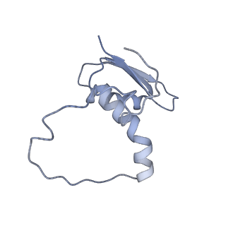 22081_6x6s_NE_v1-1
Cryo-EM Structure of the Helicobacter pylori OMC