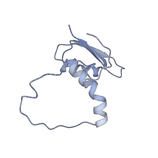 22081_6x6s_NE_v1-2
Cryo-EM Structure of the Helicobacter pylori OMC