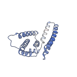 22081_6x6s_NM_v1-1
Cryo-EM Structure of the Helicobacter pylori OMC