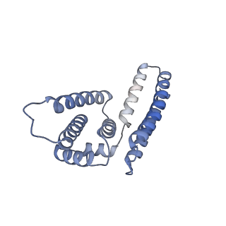 22081_6x6s_NM_v1-2
Cryo-EM Structure of the Helicobacter pylori OMC