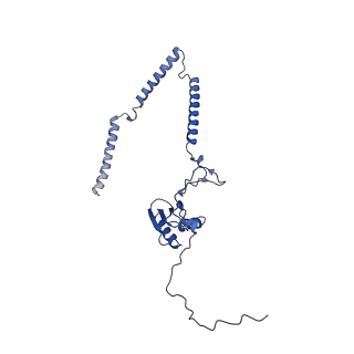 22081_6x6s_NT_v1-1
Cryo-EM Structure of the Helicobacter pylori OMC