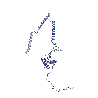 22081_6x6s_NT_v1-2
Cryo-EM Structure of the Helicobacter pylori OMC