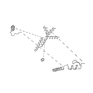 22081_6x6s_NU_v1-2
Cryo-EM Structure of the Helicobacter pylori OMC