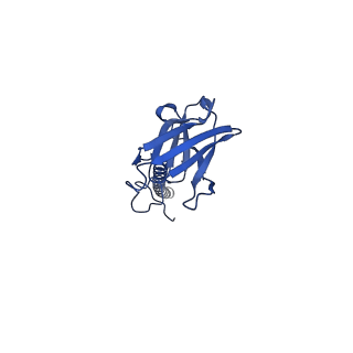 22081_6x6s_NX_v1-1
Cryo-EM Structure of the Helicobacter pylori OMC