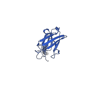 22081_6x6s_NX_v1-2
Cryo-EM Structure of the Helicobacter pylori OMC