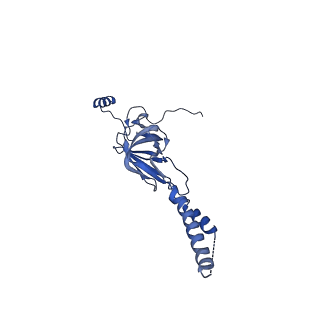 22081_6x6s_NY_v1-1
Cryo-EM Structure of the Helicobacter pylori OMC