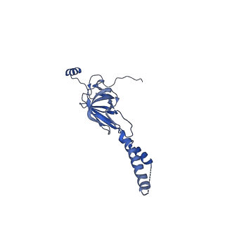 22081_6x6s_NY_v1-2
Cryo-EM Structure of the Helicobacter pylori OMC