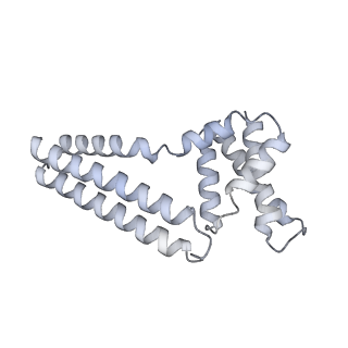 22081_6x6s_Nm_v1-2
Cryo-EM Structure of the Helicobacter pylori OMC