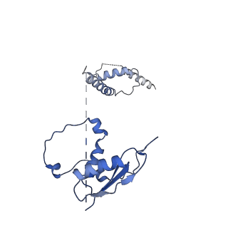 22081_6x6s_Nt_v1-1
Cryo-EM Structure of the Helicobacter pylori OMC