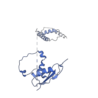 22081_6x6s_Nt_v1-2
Cryo-EM Structure of the Helicobacter pylori OMC