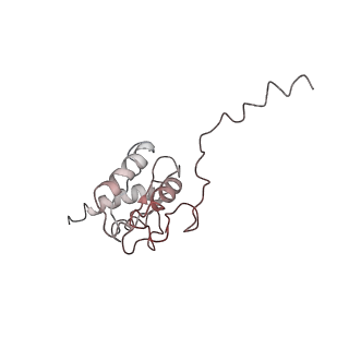 22082_6x6t_9_v1-2
Cryo-EM structure of an Escherichia coli coupled transcription-translation complex B1 (TTC-B1) containing an mRNA with a 24 nt long spacer, transcription factors NusA and NusG, and fMet-tRNAs at P-site and E-site