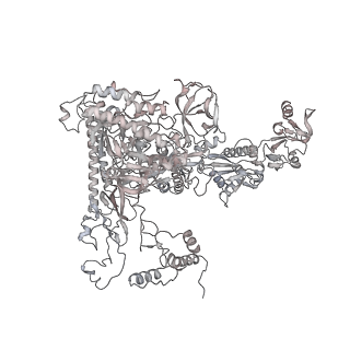 22082_6x6t_AA_v1-2
Cryo-EM structure of an Escherichia coli coupled transcription-translation complex B1 (TTC-B1) containing an mRNA with a 24 nt long spacer, transcription factors NusA and NusG, and fMet-tRNAs at P-site and E-site