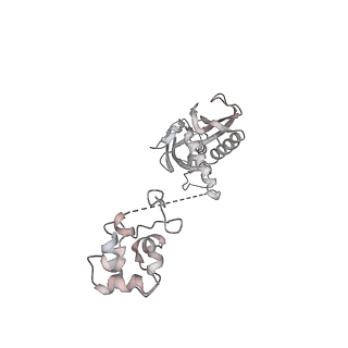 22082_6x6t_AC_v1-2
Cryo-EM structure of an Escherichia coli coupled transcription-translation complex B1 (TTC-B1) containing an mRNA with a 24 nt long spacer, transcription factors NusA and NusG, and fMet-tRNAs at P-site and E-site