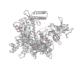 22082_6x6t_AE_v1-2
Cryo-EM structure of an Escherichia coli coupled transcription-translation complex B1 (TTC-B1) containing an mRNA with a 24 nt long spacer, transcription factors NusA and NusG, and fMet-tRNAs at P-site and E-site