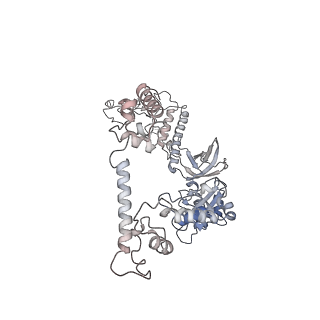 22082_6x6t_AG_v1-2
Cryo-EM structure of an Escherichia coli coupled transcription-translation complex B1 (TTC-B1) containing an mRNA with a 24 nt long spacer, transcription factors NusA and NusG, and fMet-tRNAs at P-site and E-site