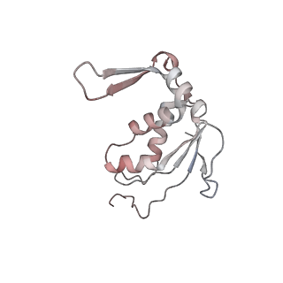 22082_6x6t_s_v1-2
Cryo-EM structure of an Escherichia coli coupled transcription-translation complex B1 (TTC-B1) containing an mRNA with a 24 nt long spacer, transcription factors NusA and NusG, and fMet-tRNAs at P-site and E-site