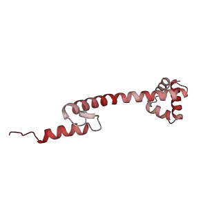 22082_6x6t_z_v1-2
Cryo-EM structure of an Escherichia coli coupled transcription-translation complex B1 (TTC-B1) containing an mRNA with a 24 nt long spacer, transcription factors NusA and NusG, and fMet-tRNAs at P-site and E-site