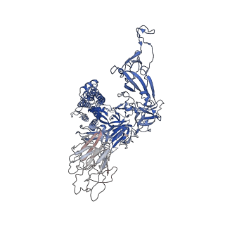 33019_7x6a_A_v1-1
SARS-CoV-2 BA.2 variant spike protein in complex with Fab BD55-5840