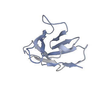 33019_7x6a_K_v1-1
SARS-CoV-2 BA.2 variant spike protein in complex with Fab BD55-5840