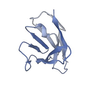 33019_7x6a_L_v1-1
SARS-CoV-2 BA.2 variant spike protein in complex with Fab BD55-5840