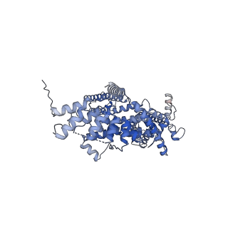 33021_7x6c_A_v1-0
Cryo-EM structure of the human TRPC5 ion channel in lipid nanodiscs, class1