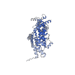 33021_7x6c_B_v1-0
Cryo-EM structure of the human TRPC5 ion channel in lipid nanodiscs, class1