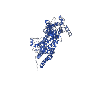 33022_7x6i_A_v1-1
Cryo-EM structure of the human TRPC5 ion channel in complex with G alpha i3 subunits, class1