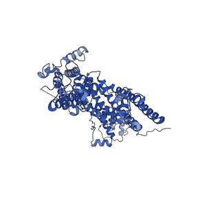 33022_7x6i_B_v1-1
Cryo-EM structure of the human TRPC5 ion channel in complex with G alpha i3 subunits, class1